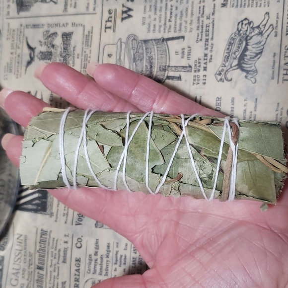 Eucalyptus bundle - Picture 2 of 3